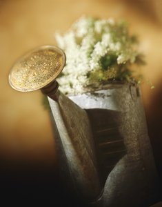 沈陽市教育裝備有限責任公司